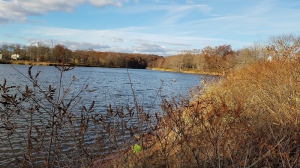 Wolfe's Pond