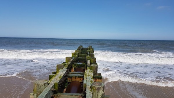 Rehoboth Beach Ocean Water Temperature: What You Need to Know for Your Beach Vacation