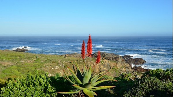 Yzerfontein