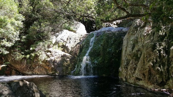 Betty's Bay