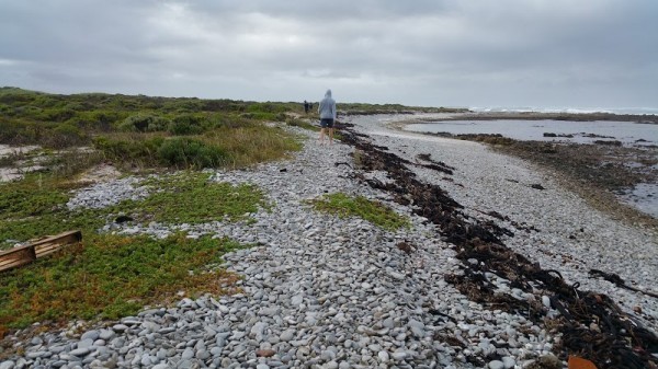 Suiderstrand