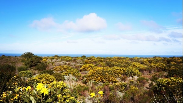 Groot-Jongensfontein