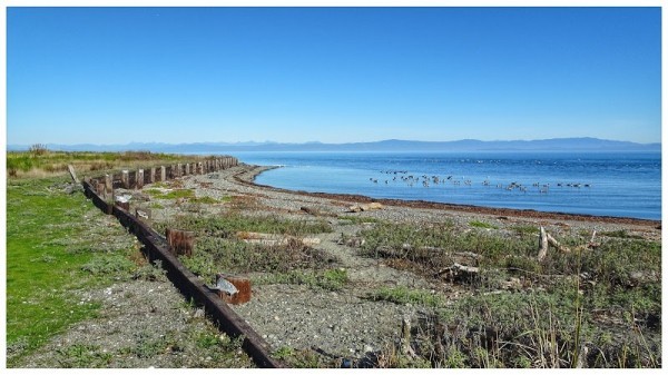 Qualicum Bay