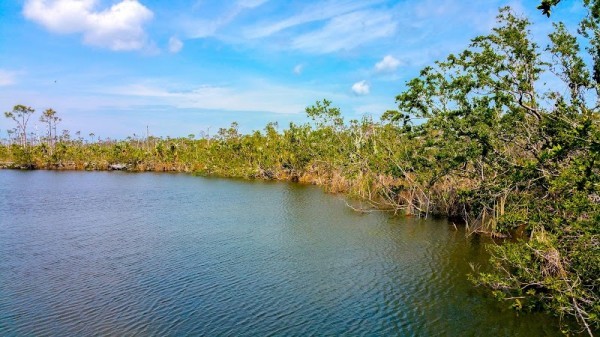 Big Pine Key