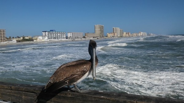 Wilbur-By-The-Sea