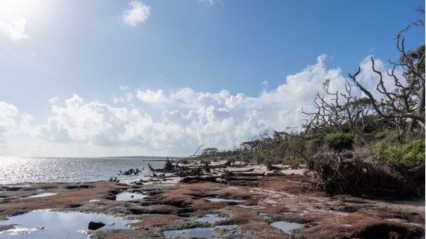 Boneyard Beach