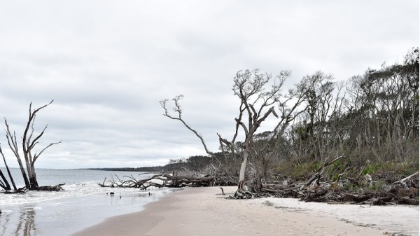 Boneyard Beach