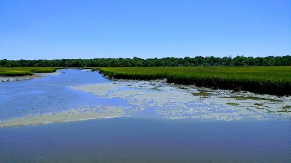 Bald Head Island