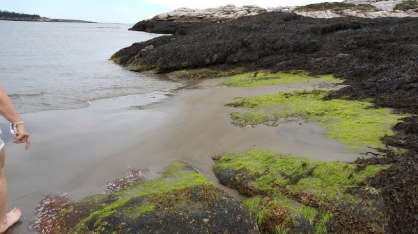 Popham Beach