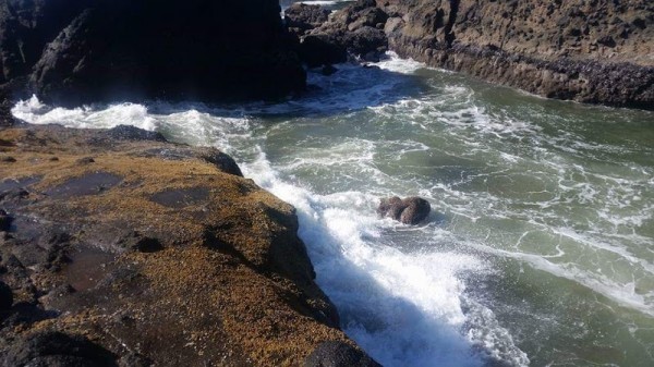 Heceta Beach