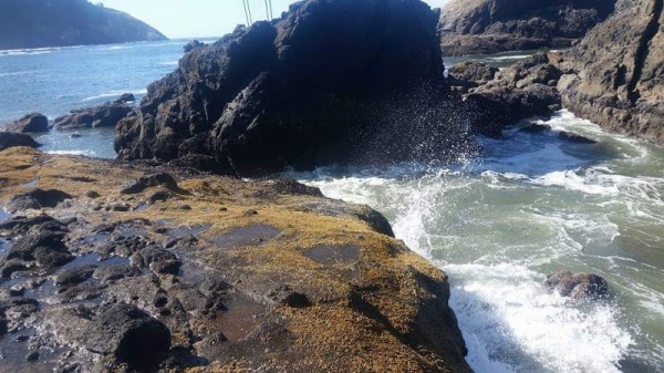 Heceta Beach