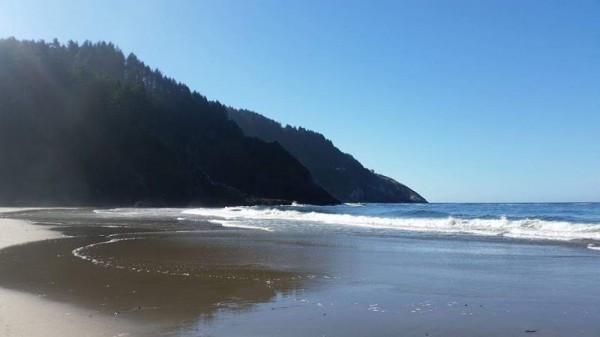 Heceta Beach