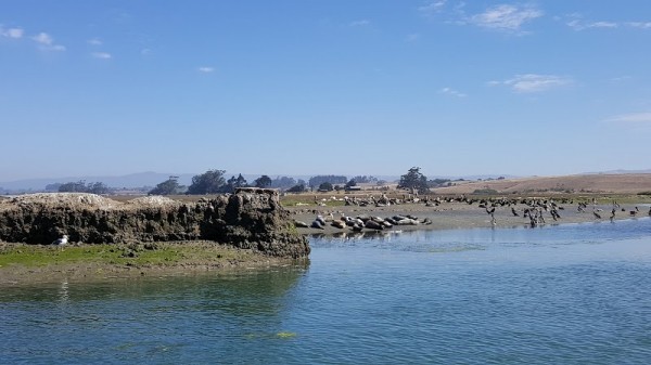 Moss Landing