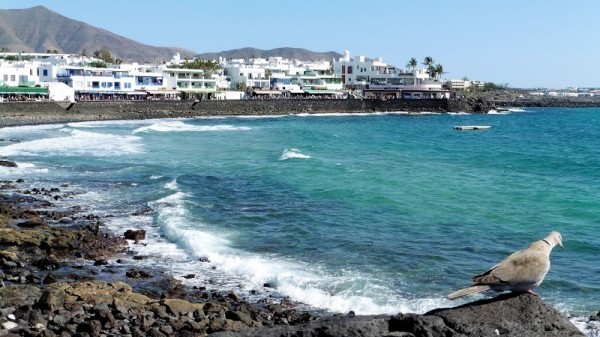 Playa Blanca