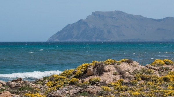 Son Serra de Marina