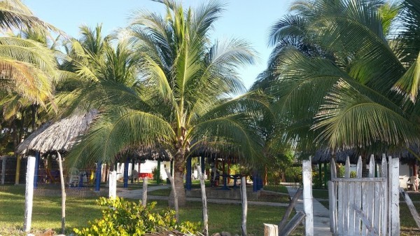 Garita Palmera