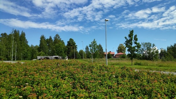 Niemenranta