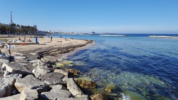 Bari