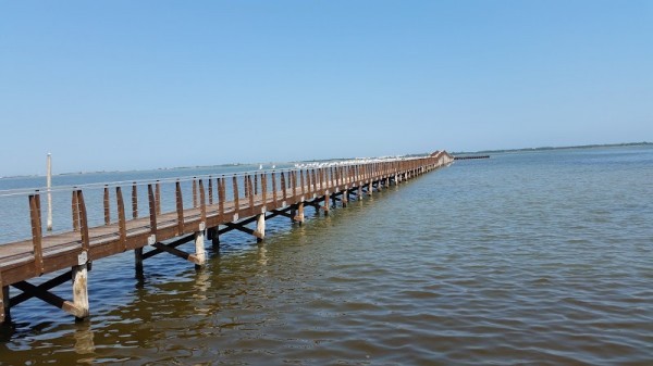 Lesina