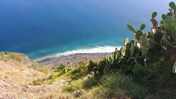 Ponta do Pargo