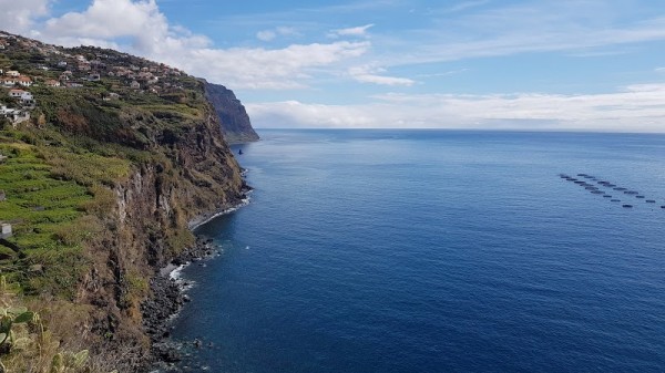 Ribeira Brava