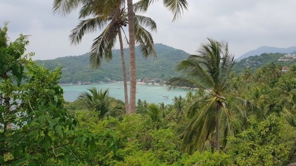 Ko Tao