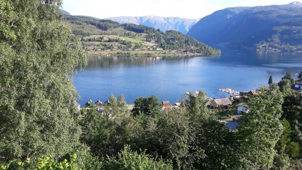 Ulvik