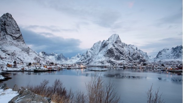 Reine