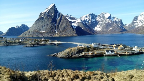 Reine