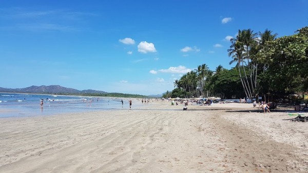 Tamarindo