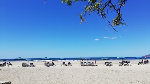 Tamarindo