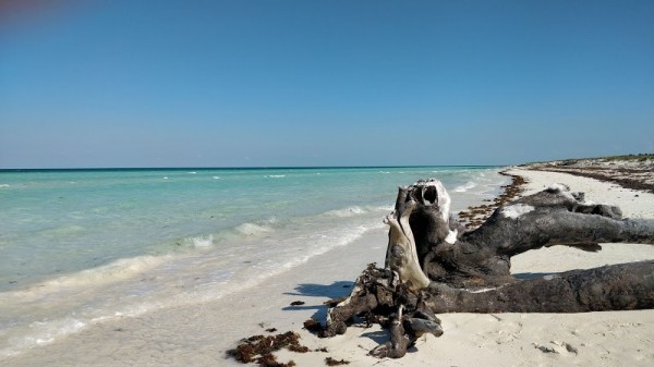 Cayo Santa Maria