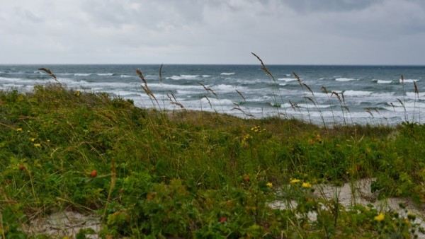 Curonian Lagoon