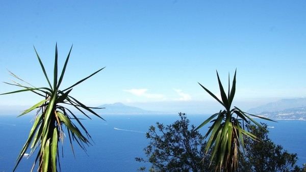 Sorrento