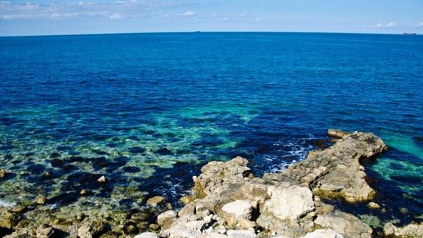 Севастополь - температура морской воды у побережья