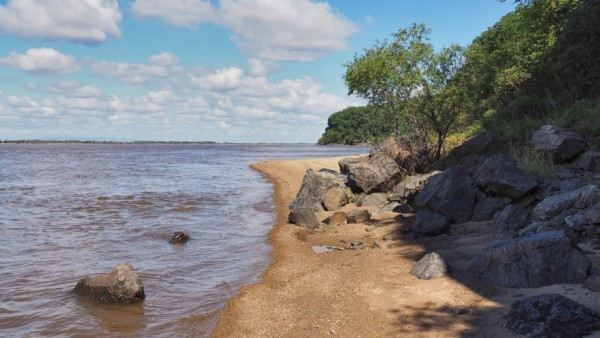 Amur estuary