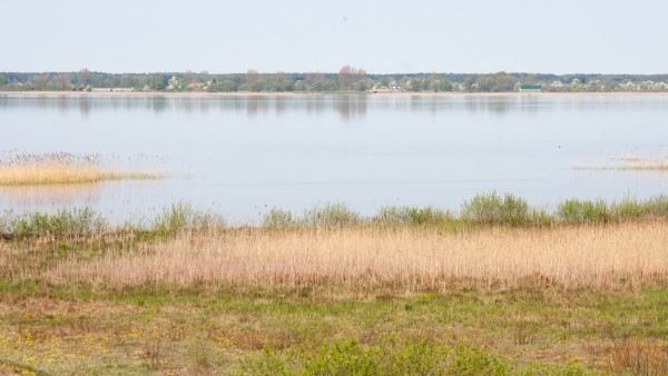 Pulemetskoye Lake