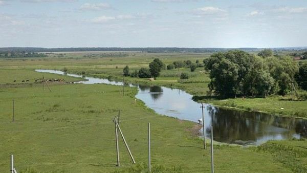 Погода в Новая Одесса Николаевская обл. Новоодесский р-н на неделю