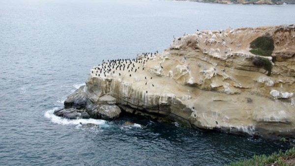 La Jolla