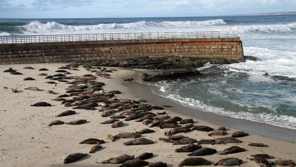 La Jolla