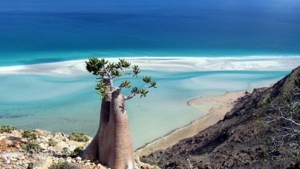 Socotra