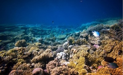 Red Sea Governorate, Egypt