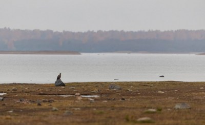 Lääne County, Estonia