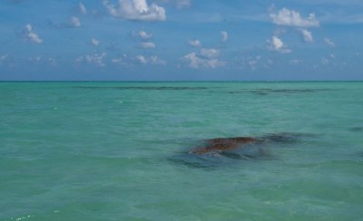 Andaman and Nicobar Islands, India