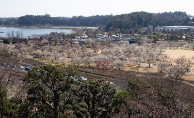 Ibaraki Prefecture, Japan