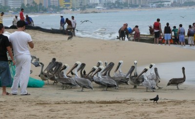 Guerrero, Mexico