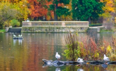 Poland, Lower Silesian Voivodeship | © By Jar.ciurus Poland, Lower Silesian Voivodeship