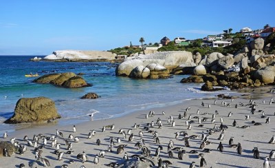 Western Cape, South Africa