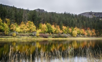 Idaho, United States