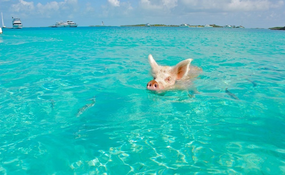 Bahamas
